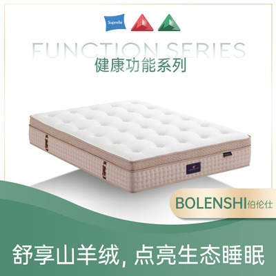 BOLENSHI（伯伦仕）
