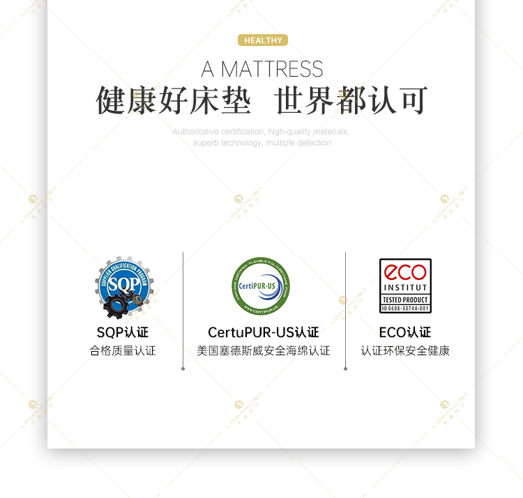 布迪_02.jpg