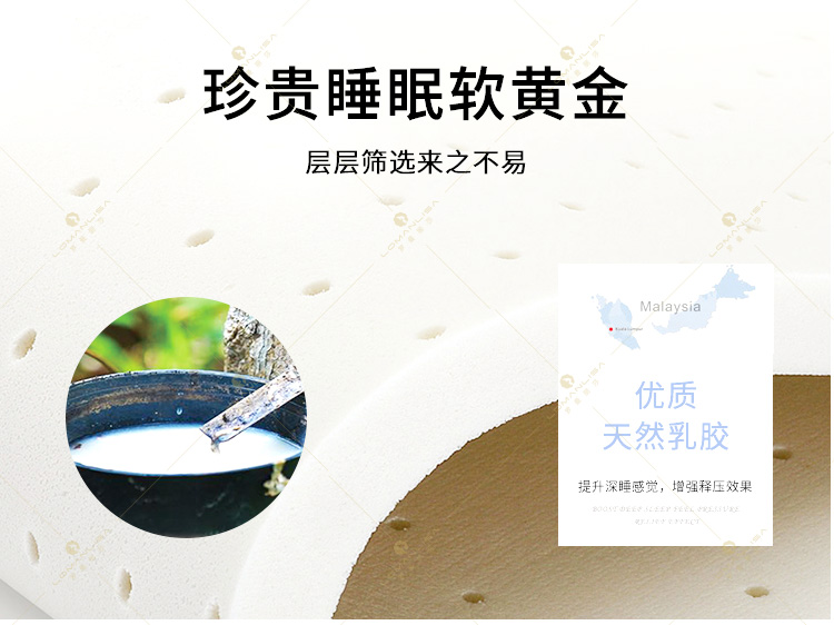 爱丽莎_08.jpg